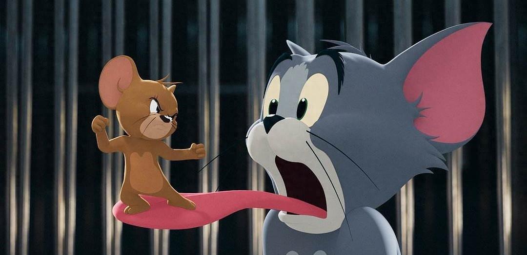 从丛林智慧到数字博弈Q解码动物生存策略中的概率密? title=